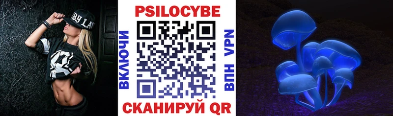 Галлюциногенные грибы Psilocybine cubensis  закладка  Гатчина 