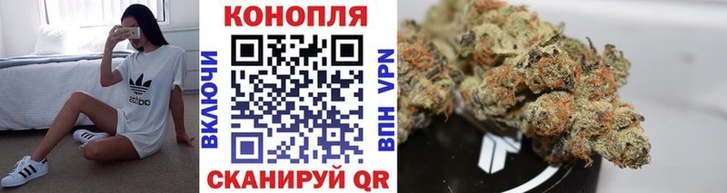 Канабис семена  закладка  гидра tor  Гатчина 